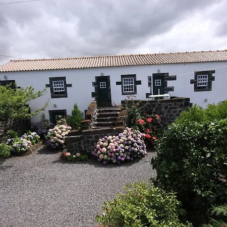 Holiday home Homepico